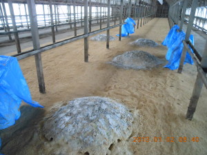 切り返し 2013-01-02