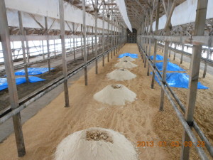 発酵米ぬか作り 2013-01-03