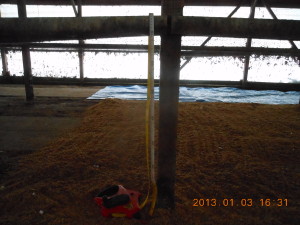 踏み込み温床作り（１） 2013-01-03