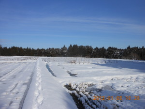 高畝について 2013-01-05