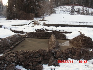 １号ほ場でわさび床作り（その１） 2013-02-14