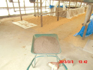 踏み込み温床を切り返してみた 2013-03-03