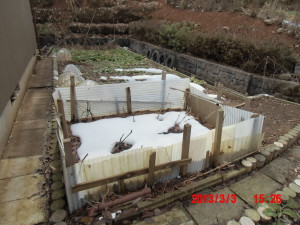 １号圃場の通路整備と耕運 2013-03-06