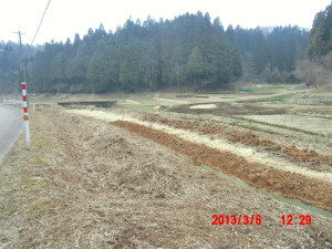 耕運と同時に畝立て 2013-03-08