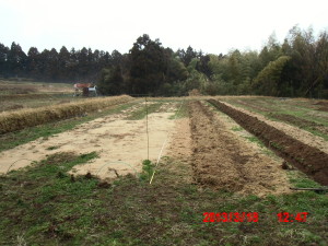 アピオス用の畝作り 2013-03-18