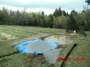 水が流れてきてたので 2013-05-02