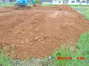 ブルーギルでなくて川鯛らしい 2013-05-20