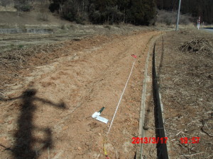 エビス草が発芽しない原因は 2013-06-17