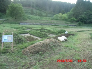 草刈りとか 2013-05-31