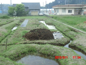 「栗のいが」の腐葉土の切り返し 2013-06-01