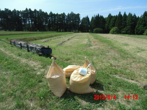 畝立ての前の下準備 2013-06-06