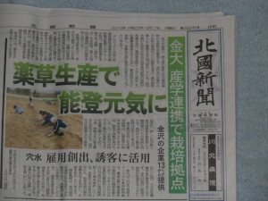 北國新聞の記事から「薬草生産で・・・」 2013-06-19