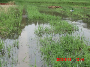 洪水対策(1) 2013-07-01