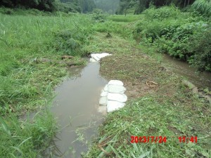 草刈りが終わらない(ーー;) 2013-07-30