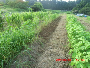 ８月前半の作業のまとめ（その２）2013-08-15