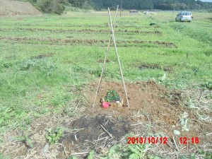 作業日誌　2013-１０月１０日～１２日：５号圃場で工事を始める前に