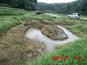 沢わさびをやめたので 2013-10-24~25