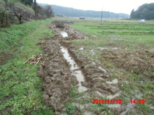 冬将軍と冷たい雨 2013-11-11