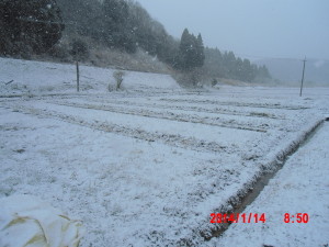 寒い日が続きます 2014-01-15