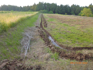 前田農園には、あきれ果てた 2014-06-28