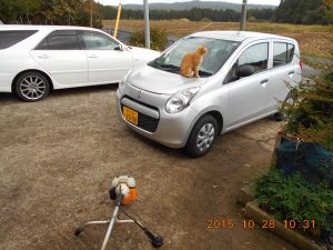 リョービの刈り払い機の手入れです 2015-10-30