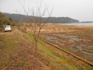 甲(かぶと)駅には日没前には到着できた 2016-01-05