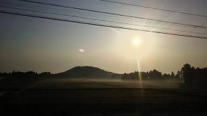 三月になったばかりなのにすっかり春の陽気です 2016-03-06