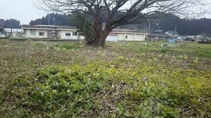 現在の甲駅の線路跡です 2016-03-22