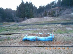 踏み込み温床式の育苗床の完成です 2016-03-24