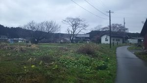 今日も大蓮寺です 2016-04-04