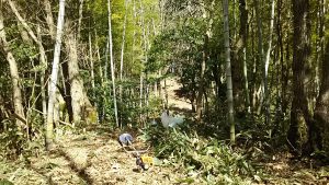 大蓮寺の草刈りは実質2日で終われそうです 2016-04-05