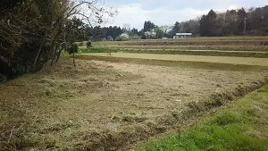 森本石油さんに行ったら、ニンニクの注文をいただきました 2016-04-11