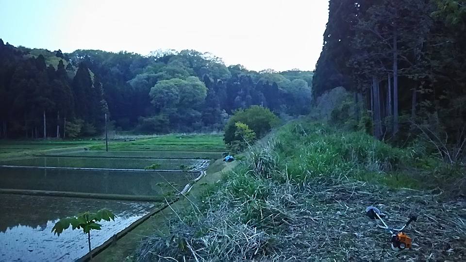 車の通行以外にイノシシ対策も兼ねてます-2016-05-02