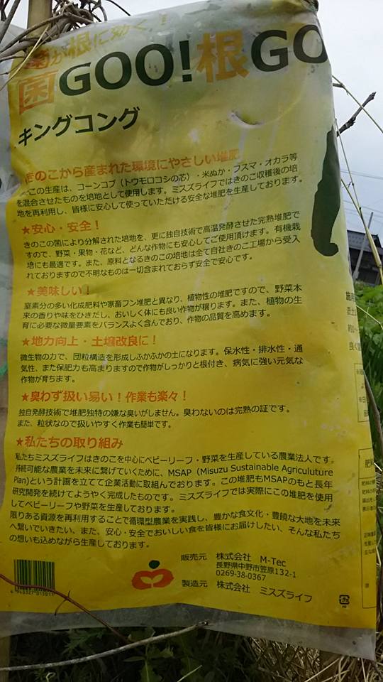去年の夏にミスズライフ穴水工場からキノコの菌床を再利用した肥料(キングコング)をもらってきて、ここにまきましたが効果があった気がします-2016-05-01