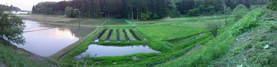 線路跡の草刈り終了です。残りは土手ですが10アールはあります-2016-05-04