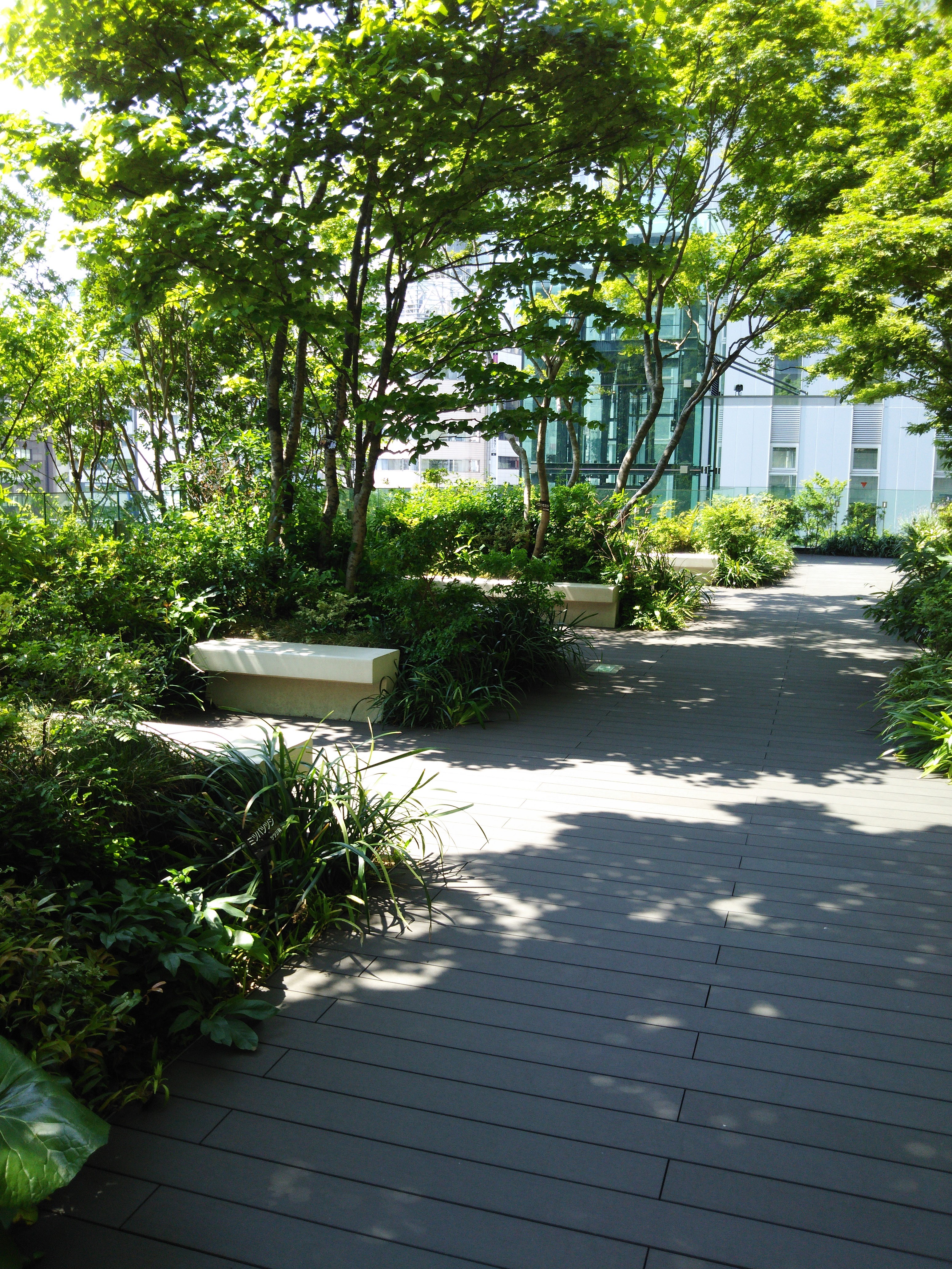 昨日懇親会がありましたがそこで教えてもらいました-2016-05-20