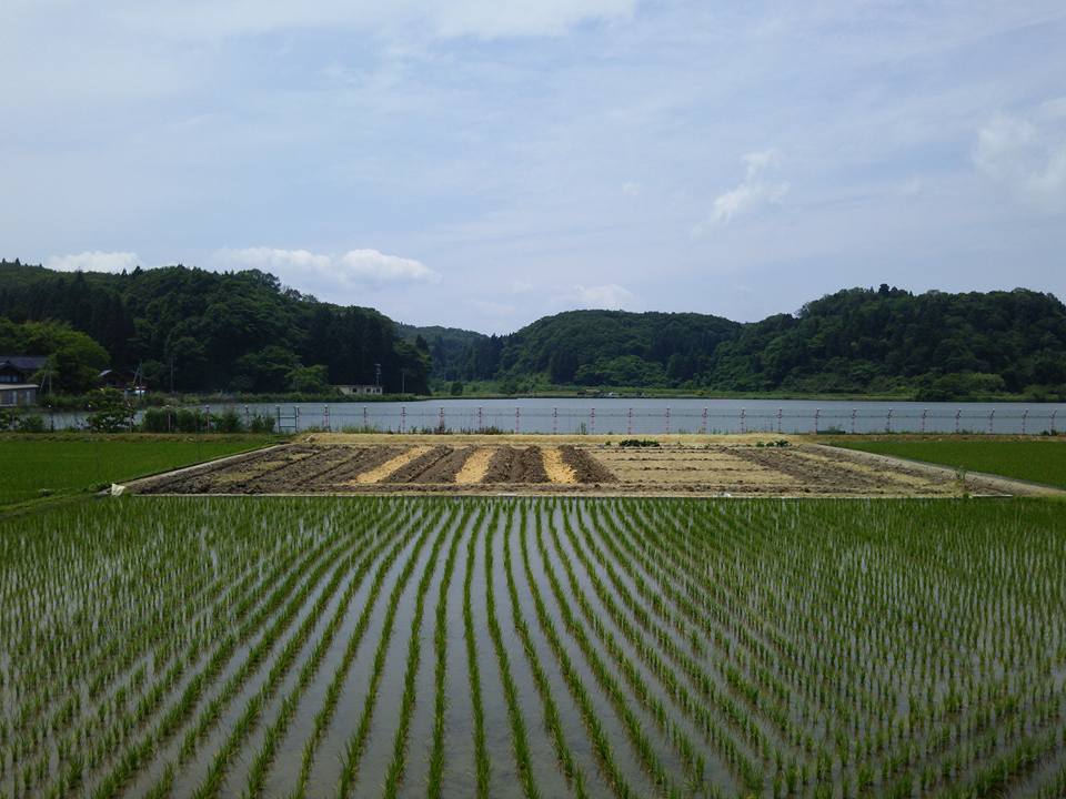 オメガうねについては3セット試作しました-2016-06-05
