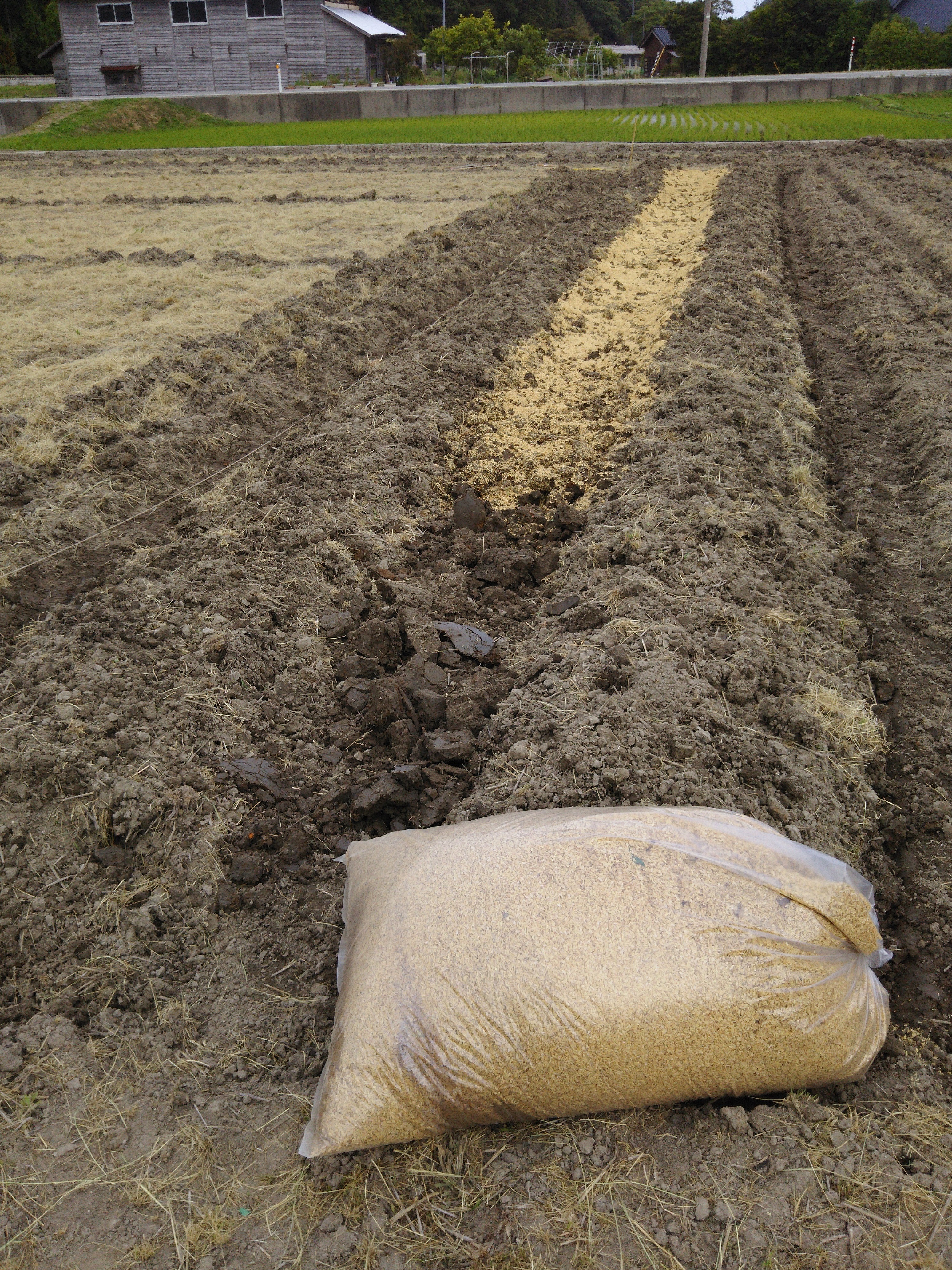 湿田で耕土の浅い（12cmほど）休耕田向けのうねを新しく開発しました-2016-06-04