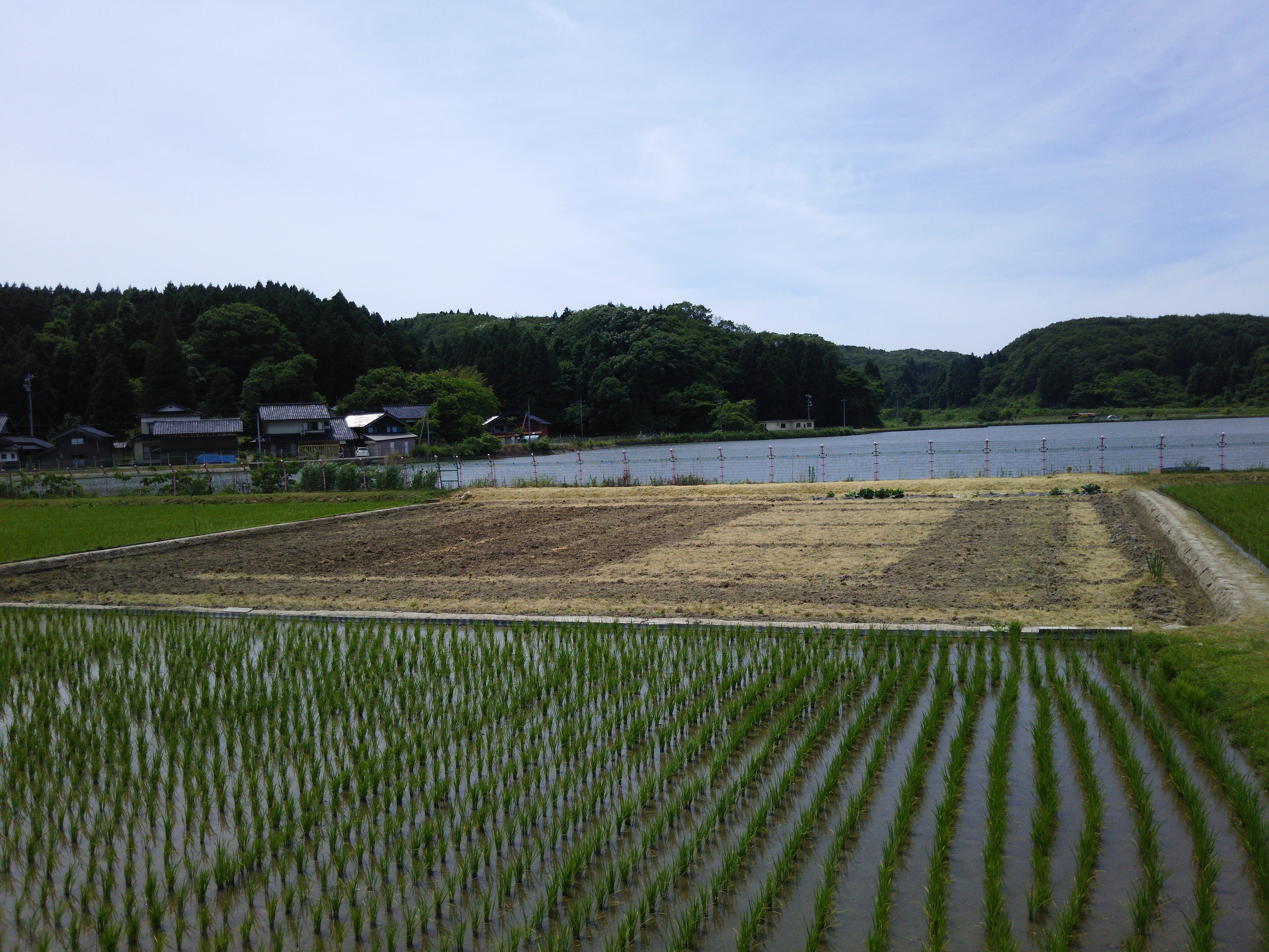 持ち主から全部元通りに戻せ❗とクレームがきたので更地に戻しました-2016-06-06