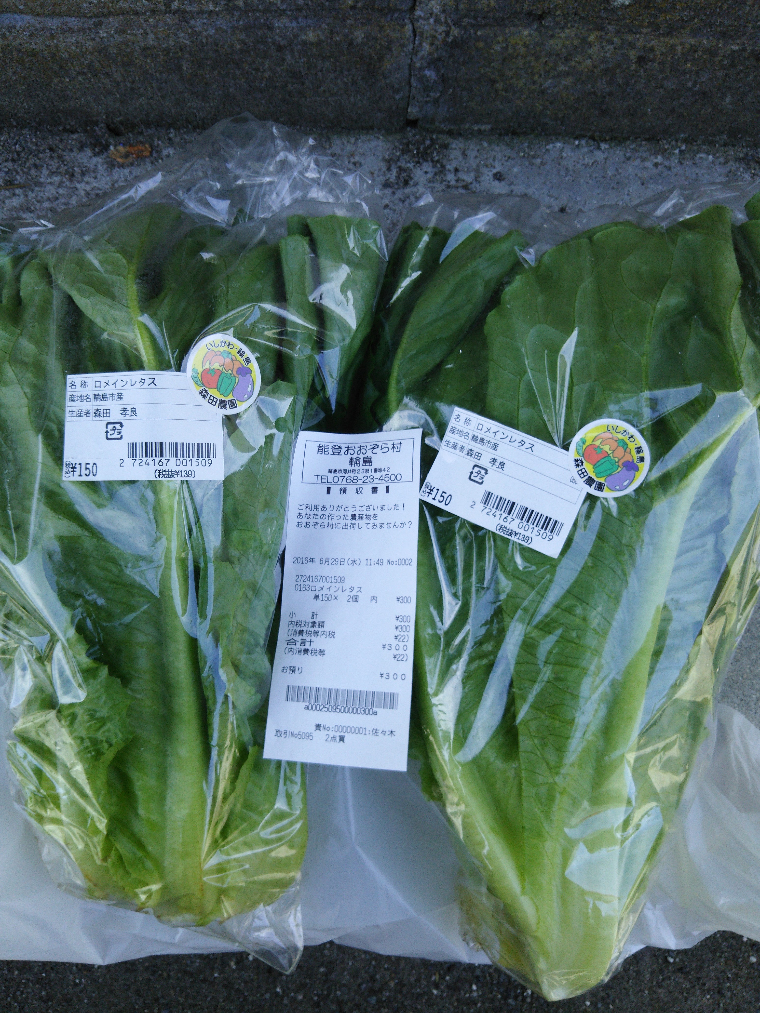 輪島の直売所のロメインレタスです-2016-06-29