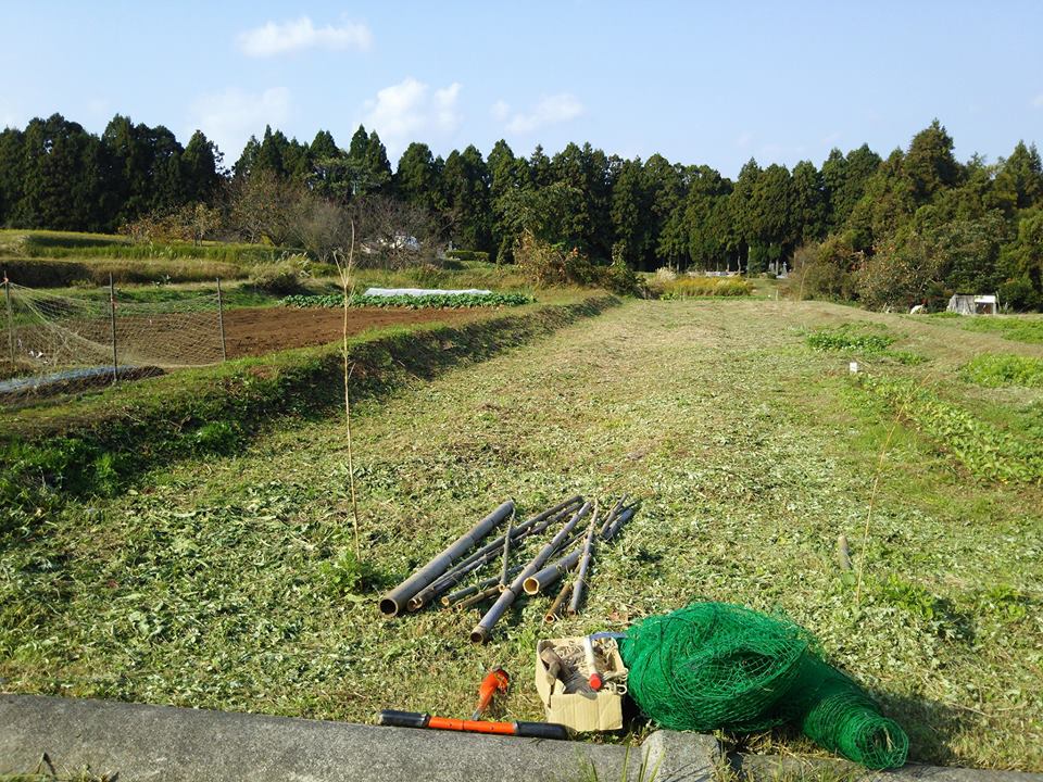 隣接農地から2m離れたラインにネット張りました。奥は4m離れてます-2016-11-04