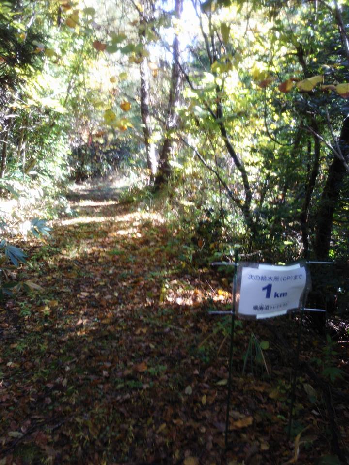 CP5の徳田ICから山道を抜けるコースの確認です-2016-11-11