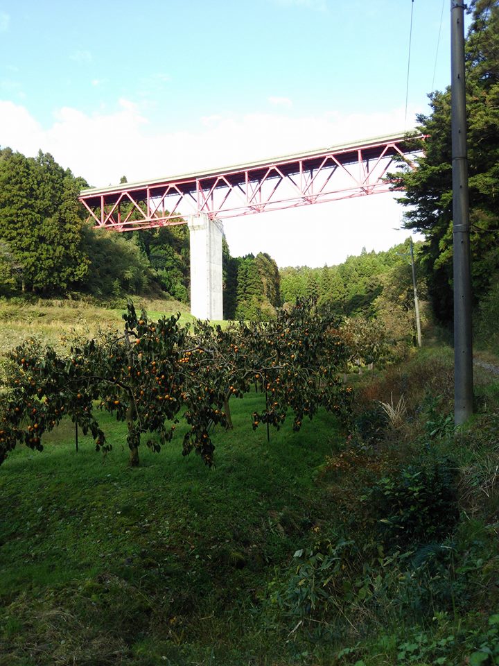第5CP徳田からゴールの永光寺(ようこうじ)までコースの確認です-2016-11-10
