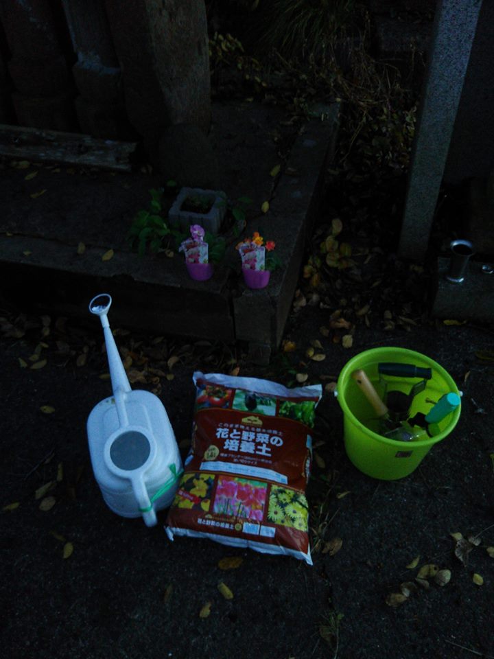 昨日の夕方甲駅のお地蔵さんの花を植え替えました-2016-11-19