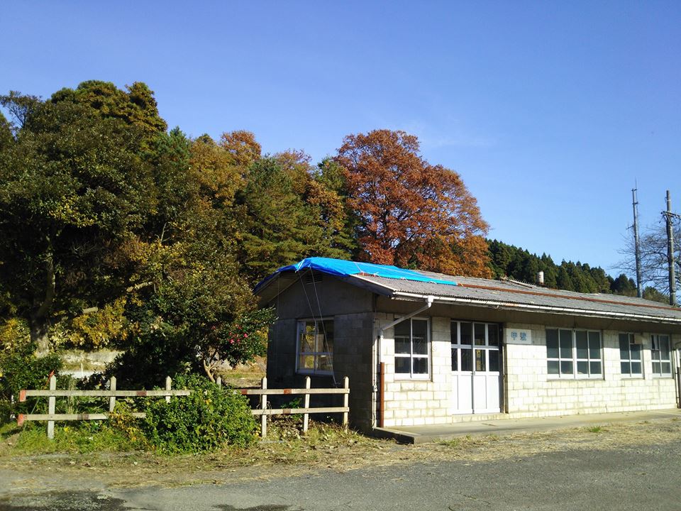 屋根のビニールシート張り終わりました、ほとんど内谷さんにやってもらいました。感謝です-2016-11-18