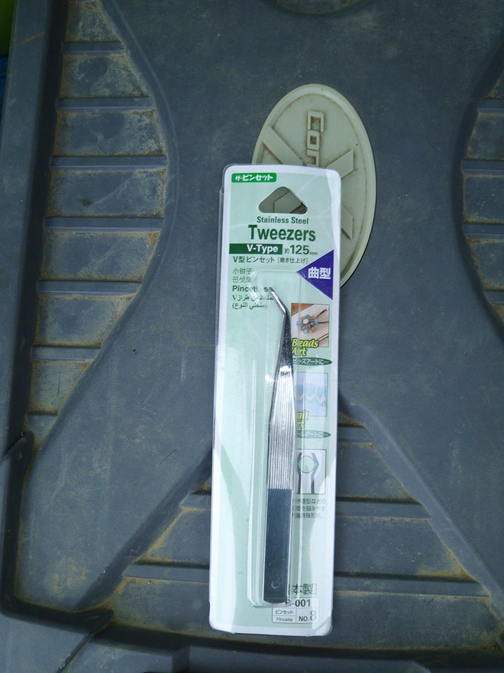 春菊の最初の間引きです-2016-11-22