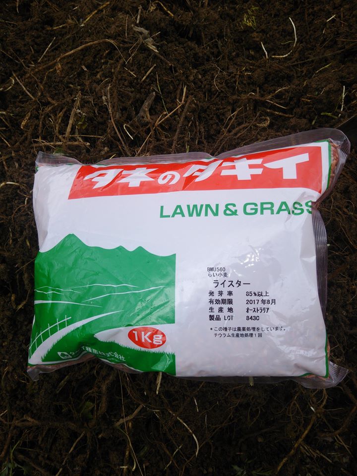 風避けで使われる緑肥のライスターを1kg蒔きました-2016-11-24