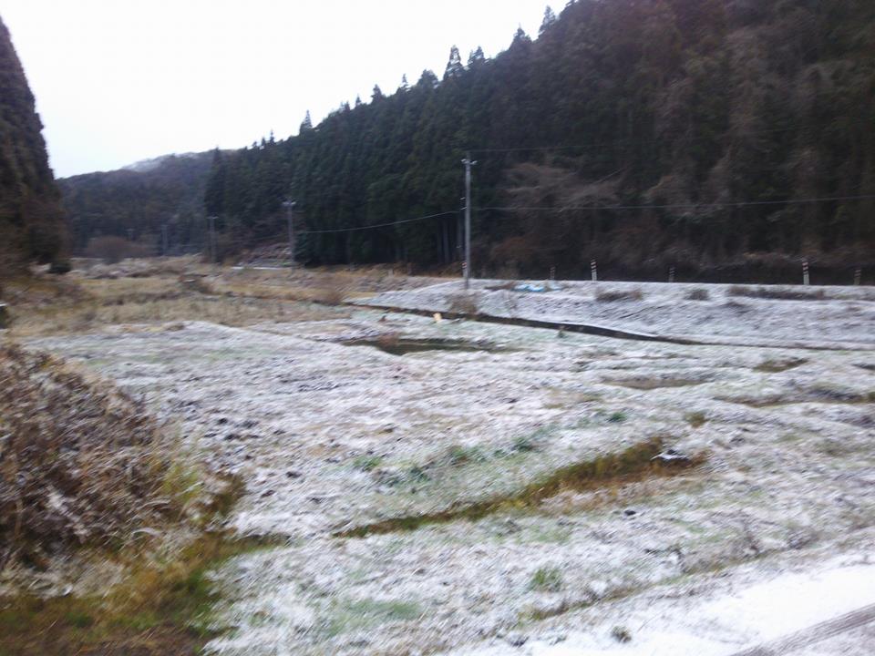 うっすらと雪化粧の朝です-2016-12-30