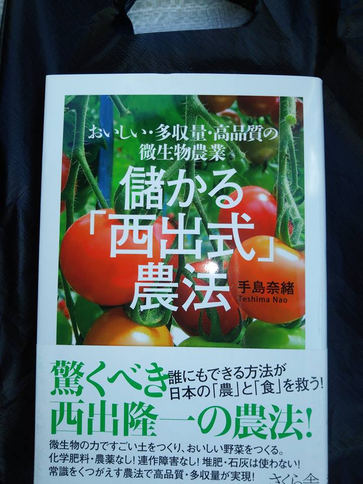 コメリ書房穴水店で西出農法の本を買ってきて中居で休憩中ですけど、穴水湾だと雪が全然ないですね-2017-01-13