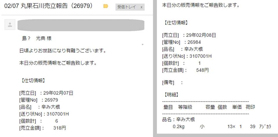 「顔の見える能登の食材」へ一番状態が良かった辛味大根を２種類出荷しました-2017-02-09